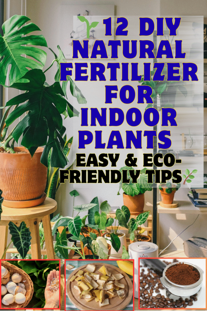 DIY natural fertilizer for indoor plants
