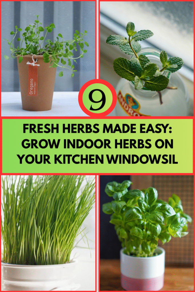 Indoor Herbs for Kitchen Windowsill