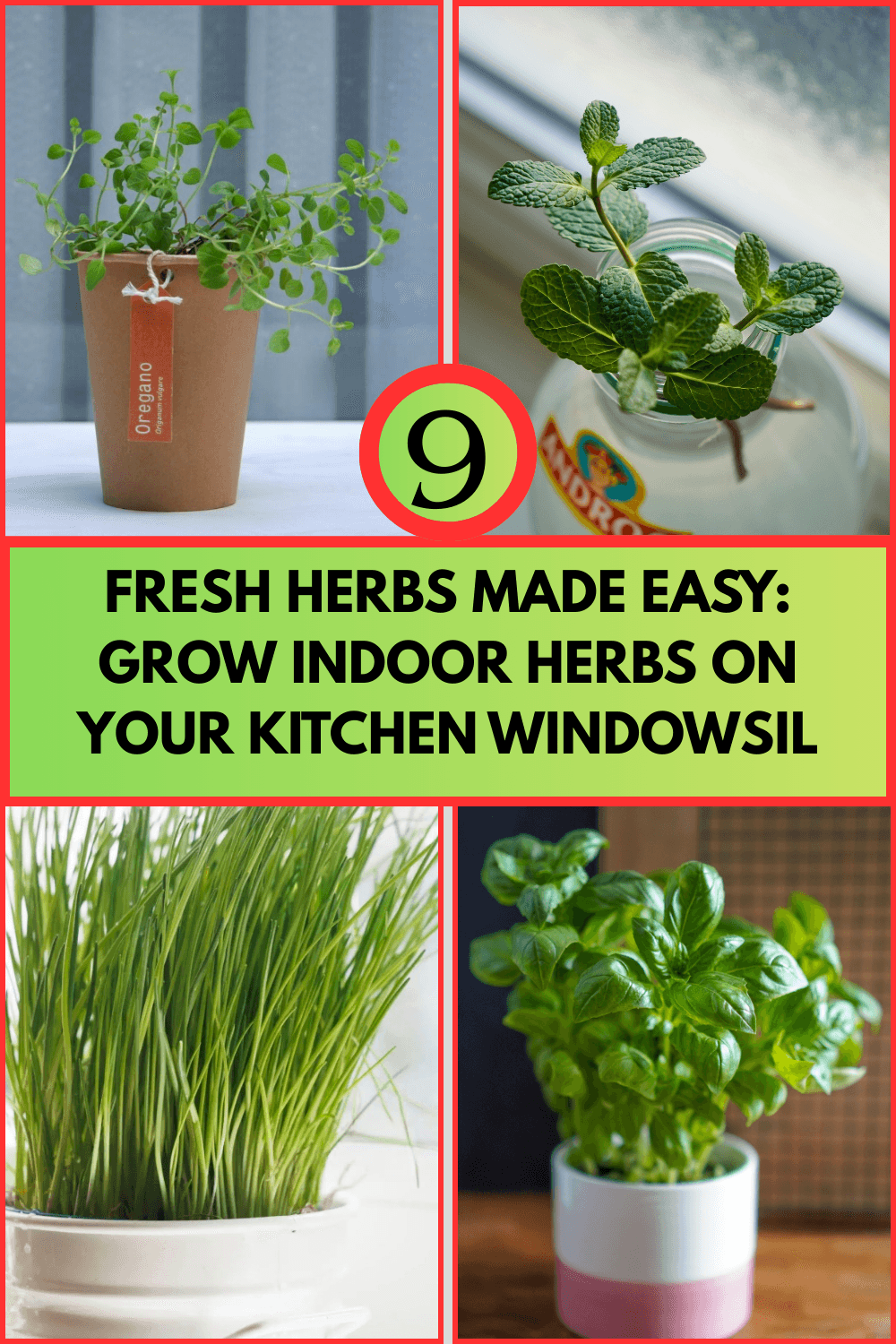 Read more about the article 9 Powerful Easy-to-Grow Indoor Herbs for Kitchen Windowsill (Beginner’s Guide to Fresh Flavor)