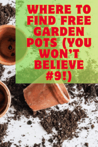 Read more about the article 10 Places to Find Free Gardening Containers