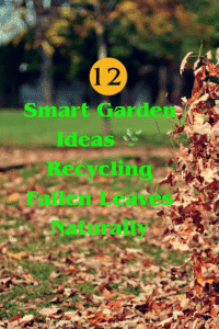Read more about the article 12 Garden Ideas Of  Recycling Fallen Leaves Naturally