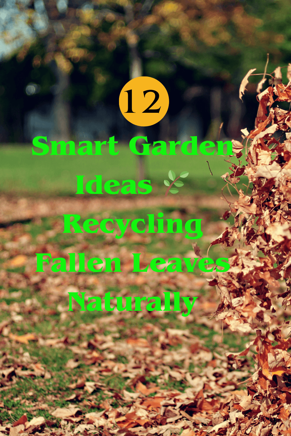 Read more about the article 12 Garden Ideas Of  Recycling Fallen Leaves Naturally