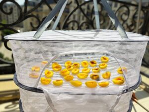 10 Easy Natural Fruit-Drying Methods at Home