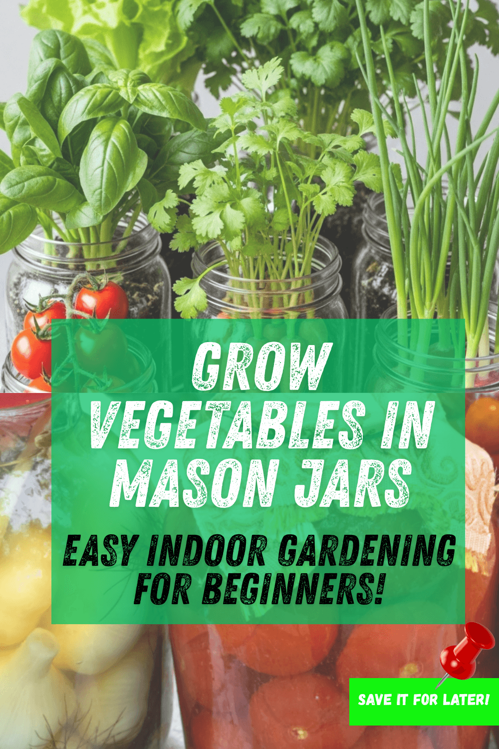 Read more about the article How to Grow Vegetables in Mason Jars: Easy Indoor Gardening Guide