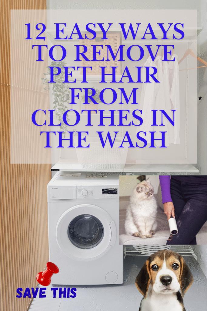 Discover How to Remove Pet Hairs from Clothes during Washing