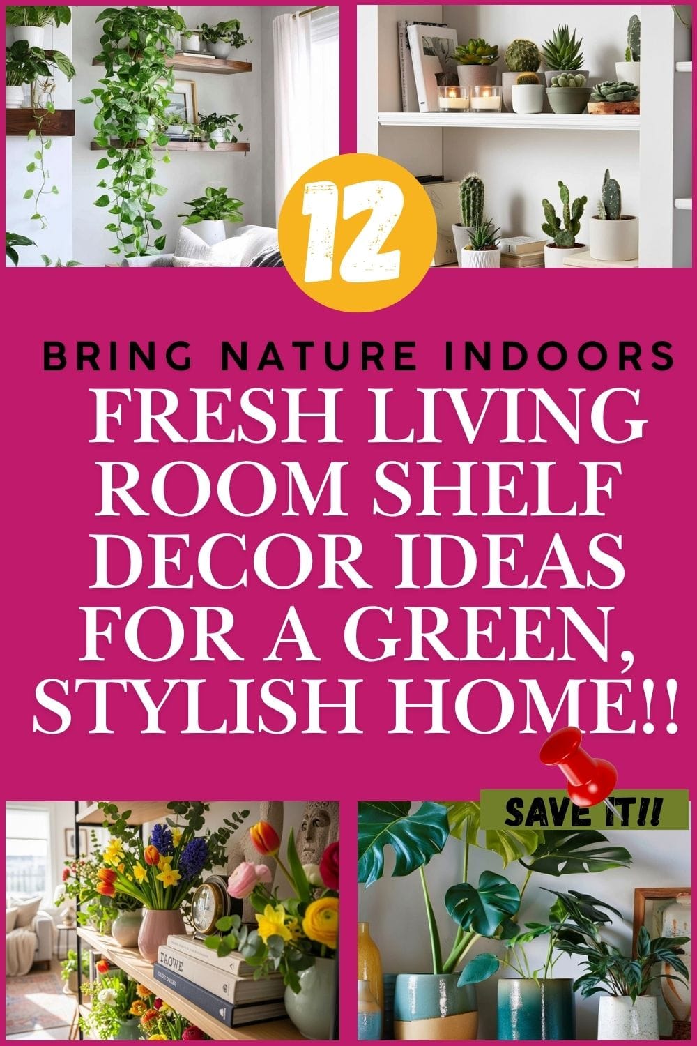 Read more about the article 12 amazing Ways to Style Your Living Room shelves with Plants for a Cozy, Modern Vibe | savy home