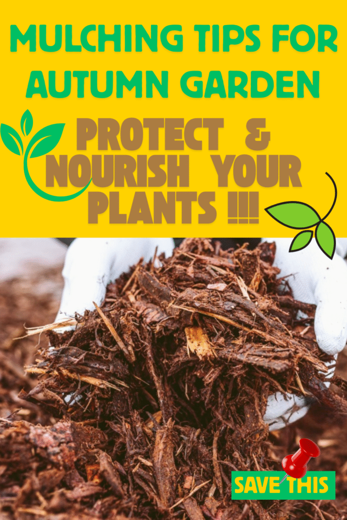 Mulching Tips for Autumn Garden