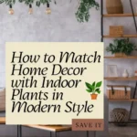 How to Match Home Decor with Indoor Plants in Modern Style | Savy Home